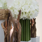 er&ouml;ffnung LL 18