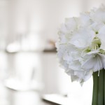 er&ouml;ffnung LL 20